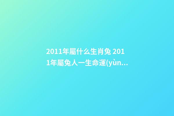 2011年屬什么生肖兔 2011年屬兔人一生命運(yùn) 2011年屬兔人一生命運(yùn)，2011年出生的孩子是什么命-第1張-觀點(diǎn)-玄機(jī)派
